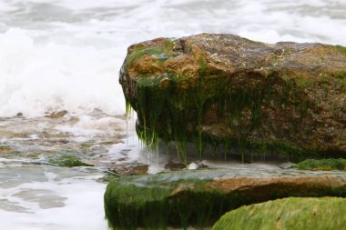 İsrail 'in kuzeyindeki Akdeniz kıyısında. 