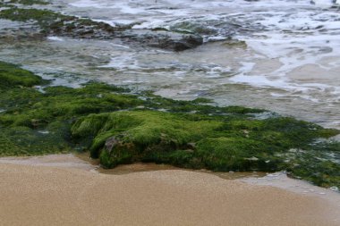 İsrail 'in kuzeyindeki Akdeniz kıyısında. 