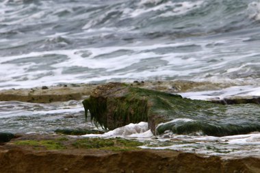 İsrail 'in kuzeyindeki Akdeniz kıyısında. 