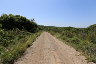 yol - araçlar ve yayalar için bir mühendislik yapısı. 