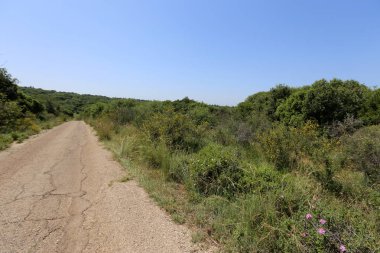 yol - araçlar ve yayalar için bir mühendislik yapısı. 
