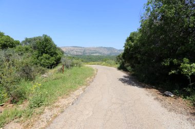 yol - araçlar ve yayalar için bir mühendislik yapısı. 