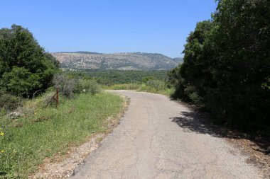 yol - araçlar ve yayalar için bir mühendislik yapısı. 