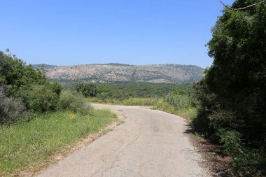 yol - araçlar ve yayalar için bir mühendislik yapısı. 