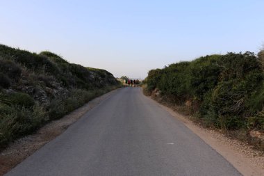 yol - araçlar ve yayalar için bir mühendislik yapısı. 