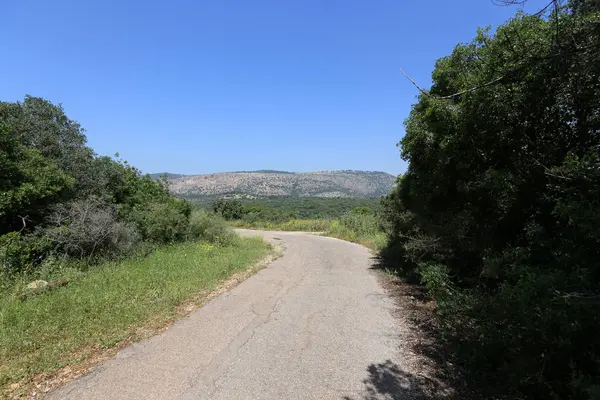 yol - araçlar ve yayalar için bir mühendislik yapısı. 