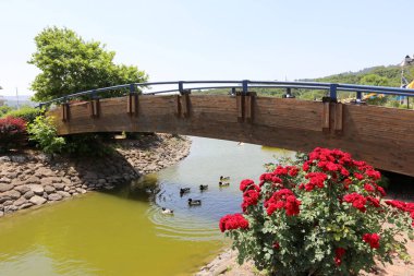 Köprü - bir engel dikilmiş bir yapay yapısı 