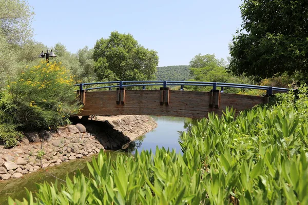 Brug Een Kunstmatige Constructie Gebouwd Een Obstakel — Stockfoto