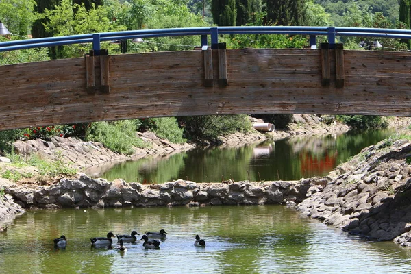 Brücke Eine Künstliche Konstruktion Die Über Einem Hindernis Errichtet Wurde — Stockfoto