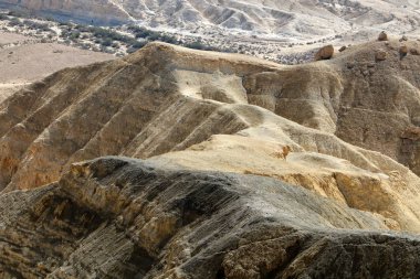 Negev - Orta Doğu 'da bir çöl, Güney İsrail' de yer alıyor. 