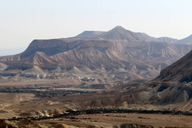 Negev - Orta Doğu 'da bir çöl, Güney İsrail' de yer alıyor. 