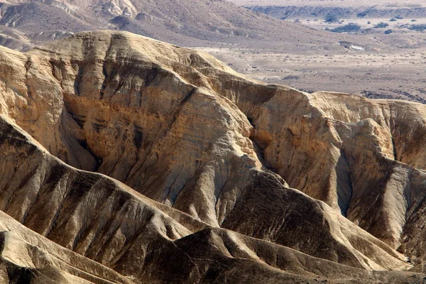 内盖夫 中东沙漠 位于以色列南部 — 图库照片