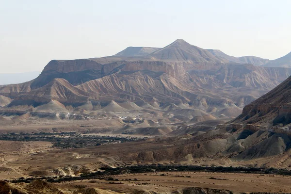 Negev Sivatag Közel Keleten Található Dél Izraelben — Stock Fotó