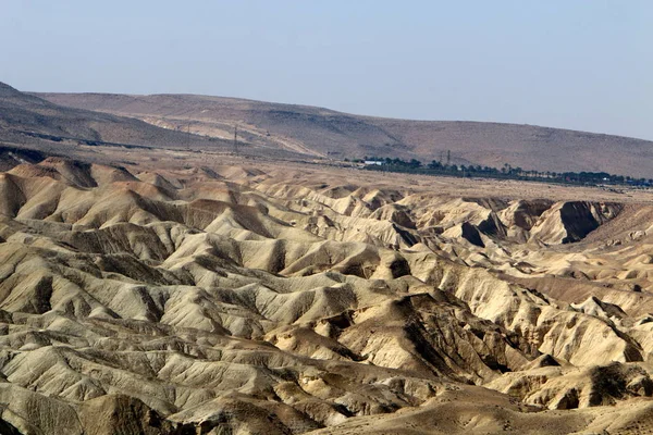 Negev Desierto Medio Oriente Situado Sur Israel —  Fotos de Stock