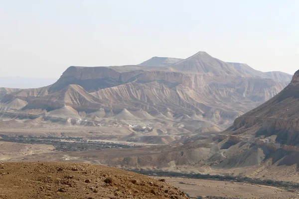 Негев Пустеля Близькому Сході Півдні Ізраїлю — стокове фото