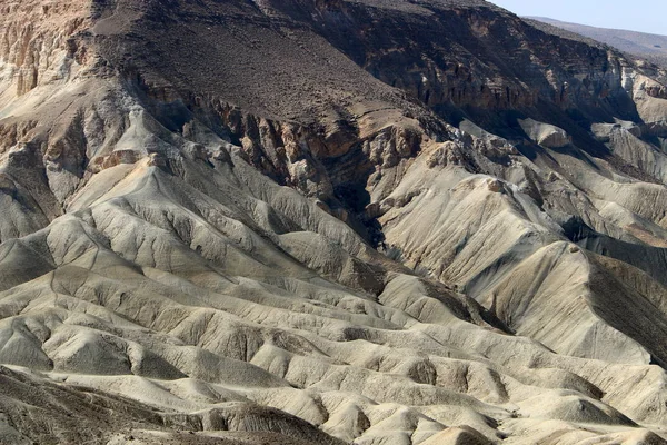 Negev Desert Middle East Located Southern Israel — Stock Photo, Image