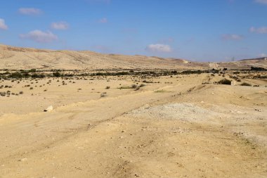 Negev - Orta Doğu 'da bir çöl, Güney İsrail' de yer alıyor. 