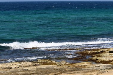 İsrail devletinin kuzeyinde Akdeniz'in ıssız kıyıları 