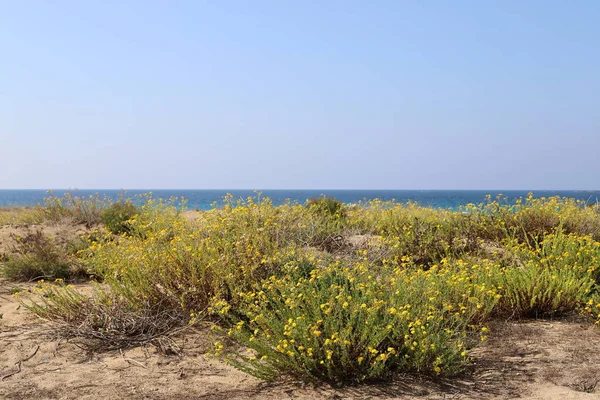 Costa Deserta Del Mar Mediterraneo Nel Nord Dello Stato Israele — Foto Stock