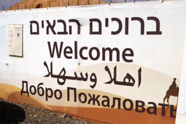 İsrail 'in güneyindeki Negev çölündeki bir Bedevi köyünde tek hörgüçlü develer yaşıyor. 