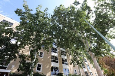 Pencere - duvardaki bir açıklık, ışığın odaya girmesini ve havalandırmayı sağlıyor.. 