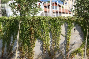 İsrail 'in kuzeyindeki Haçlı Kalesi' nde taş ve betondan duvar 