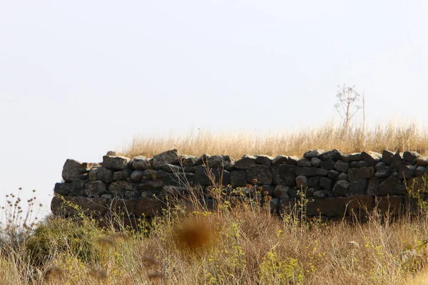 Muro Pietra Cemento Nella Vecchia Fortezza Crociata Nel Nord Israele — Foto Stock