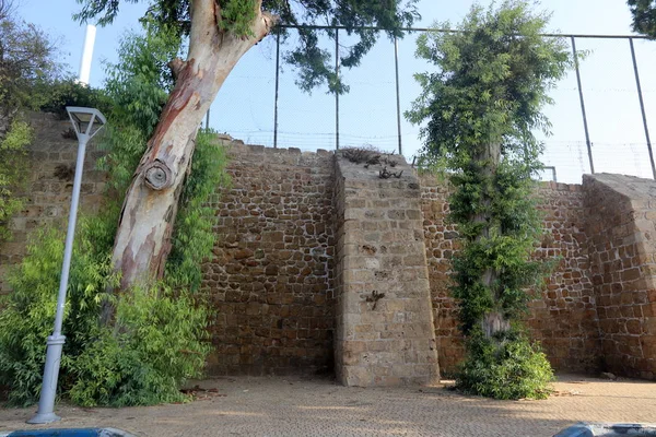 Стена Камня Бетона Старой Крепости Крестоносцев Севере Израиля — стоковое фото