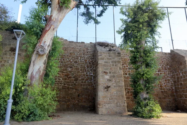Стена Камня Бетона Старой Крепости Крестоносцев Севере Израиля — стоковое фото