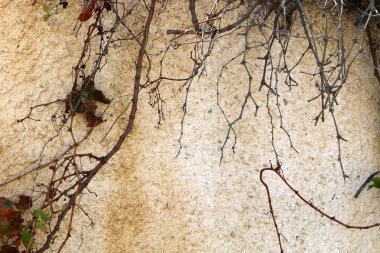 İsrail 'in kuzeyindeki Haçlı Kalesi' nde taş ve betondan duvar 