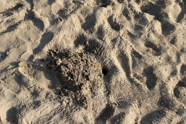 Empreintes Pas Sur Plage Méditerranée Dans Nord Israël — Photo