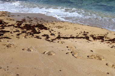 İsrail 'in kuzeyindeki Akdeniz sahilinde ayak izleri. 