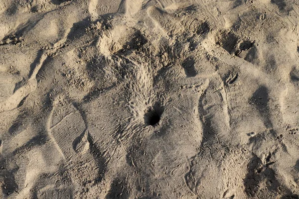 Footprints Beach Mediterranean Northern Israel — Stock Photo, Image