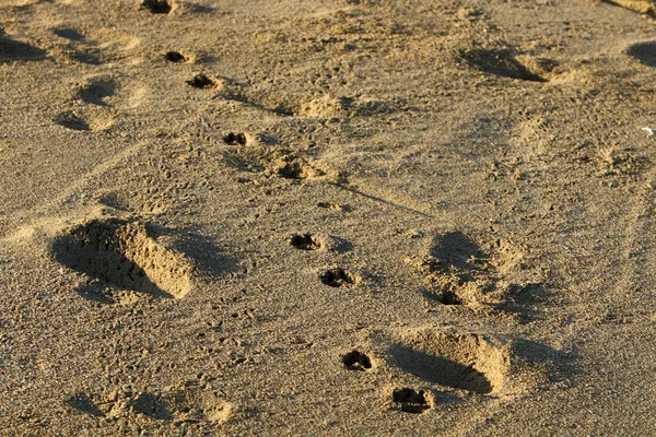 Impronte Sulla Spiaggia Sul Mediterraneo Nel Nord Israele — Foto Stock