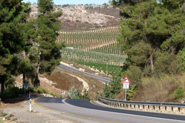 Kuzey İsrail 'de arabalar için yol 