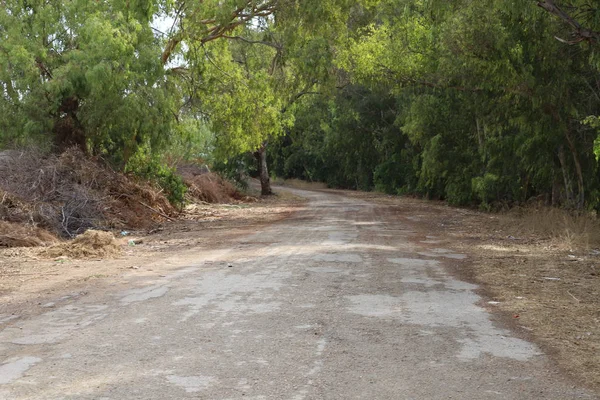 北イスラエルの車の道路 — ストック写真