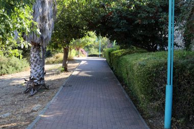 İsrail 'in güneyindeki bir şehir parkında yaya yolu. 