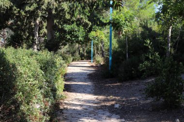 İsrail 'in güneyindeki bir şehir parkında yaya yolu. 