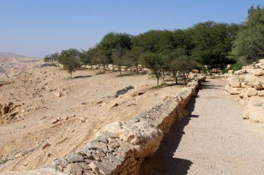İsrail 'in güneyindeki bir şehir parkında yaya yolu. 