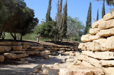 İsrail 'in güneyindeki bir şehir parkında yaya yolu. 