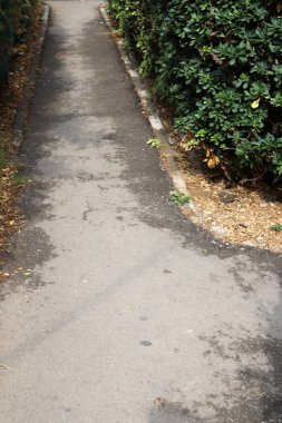 İsrail 'in güneyindeki bir şehir parkında yaya yolu. 