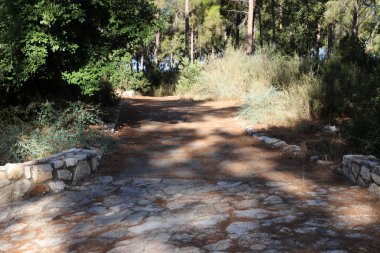 İsrail 'in güneyindeki bir şehir parkında yaya yolu. 
