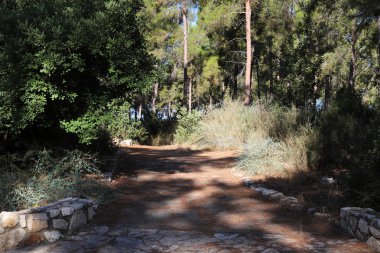 İsrail 'in güneyindeki bir şehir parkında yaya yolu. 