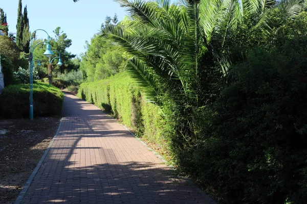 Camino Peatonal Parque Urbano Sur Del Estado Israel — Foto de Stock