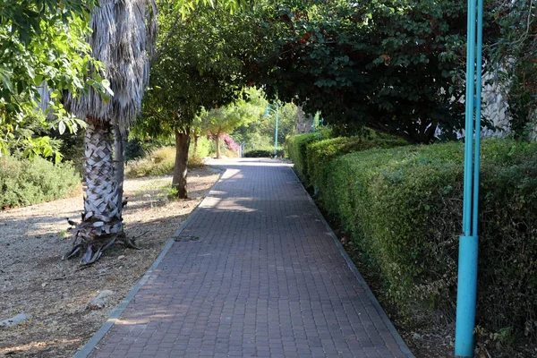 Пешеходная Дорога Городском Парке Юге Израиля — стоковое фото