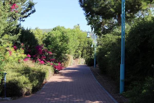 Voetgangersweg Een Stadspark Het Zuiden Van Staat Israël — Stockfoto