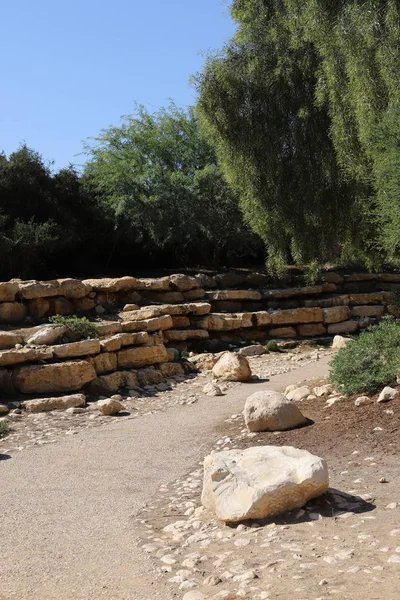 Route Piétonne Dans Parc Ville Dans Sud Etat Israël — Photo