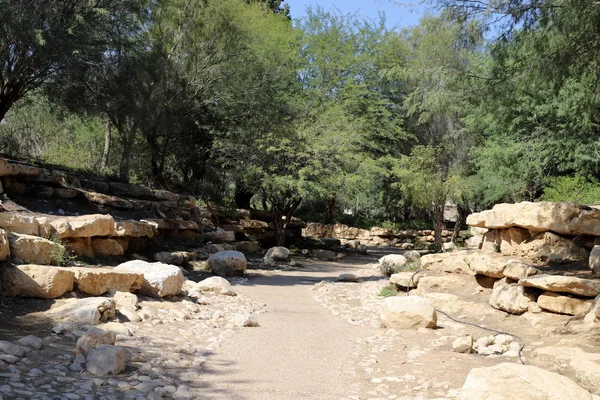 Strada Pedonale Parco Cittadino Nel Sud Dello Stato Israele — Foto Stock