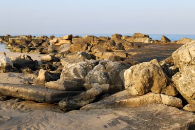 Taşlar, İsrail 'in kuzeyindeki Akdeniz kıyısındaki bir şehir parkında bulunur. 