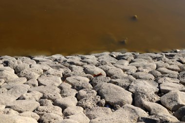 Taşlar, İsrail 'in kuzeyindeki Akdeniz kıyısındaki bir şehir parkında bulunur. 